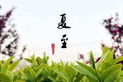 夏至日,太阳最盛，万物生长的极致时刻